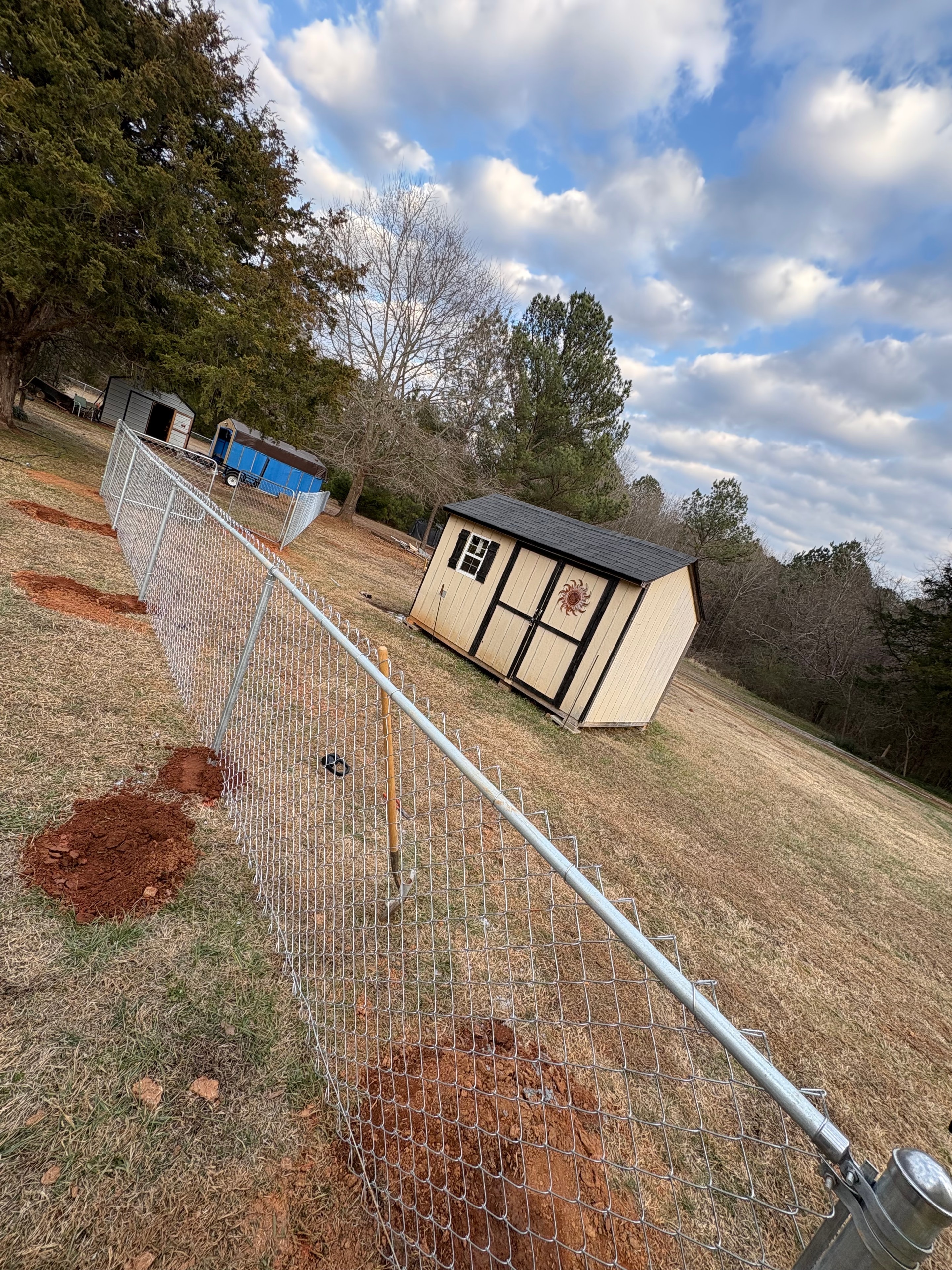 Emergency tree removal